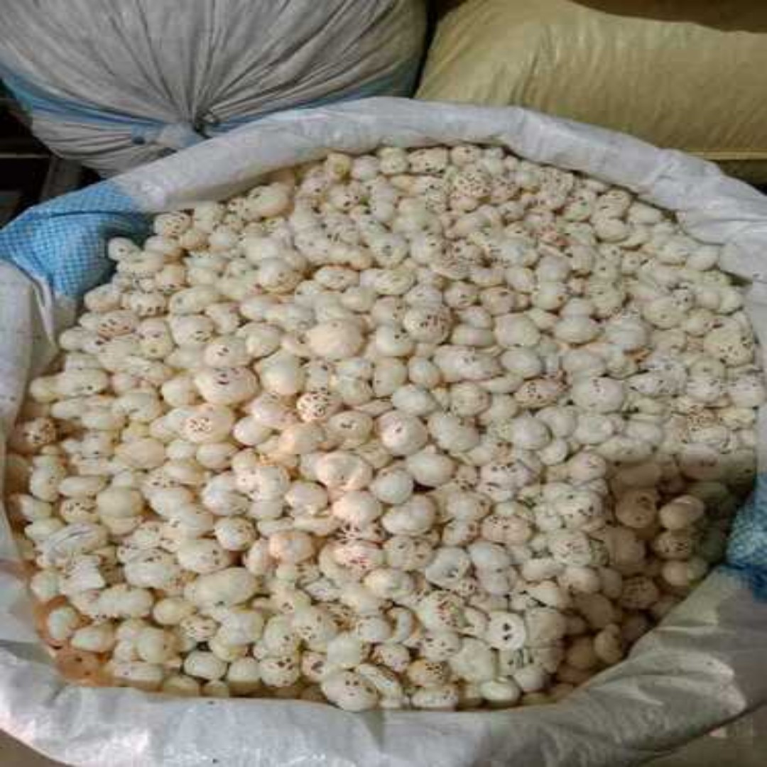 Organic Phool Makhana